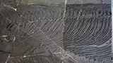 富源关岭鱼龙（修复中）